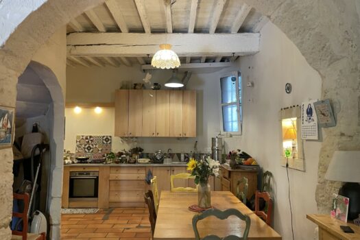 Maison avec terrasse Arles