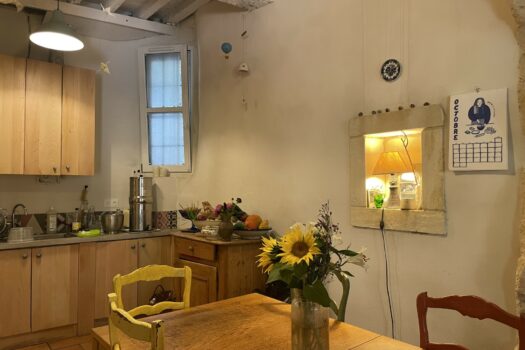 Maison avec terrasse Arles