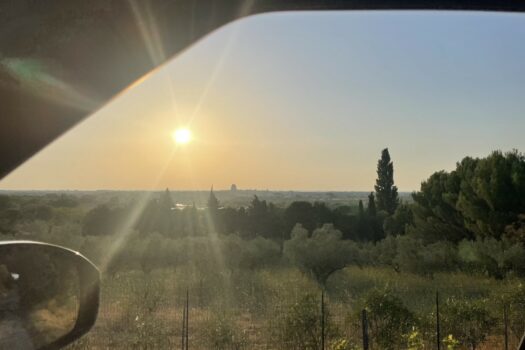 Mas avec piscine Arles