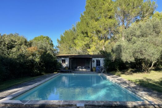 Mas avec piscine Arles