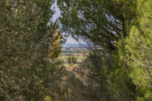 Mas avec piscine Arles
