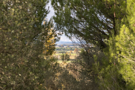 Mas avec piscine Arles