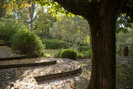 Mas avec piscine Arles
