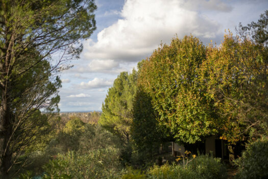 Mas avec piscine Arles