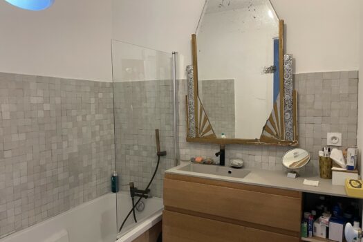 Appartement duplex Arles