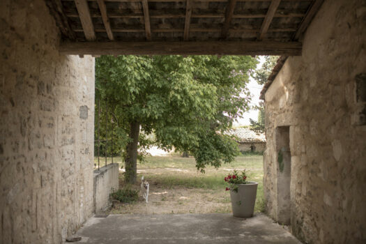 Grand mas à Arles
