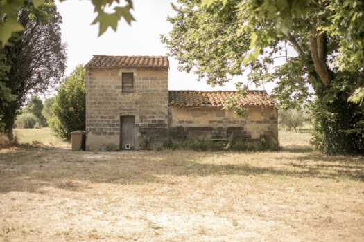Grand mas à Arles