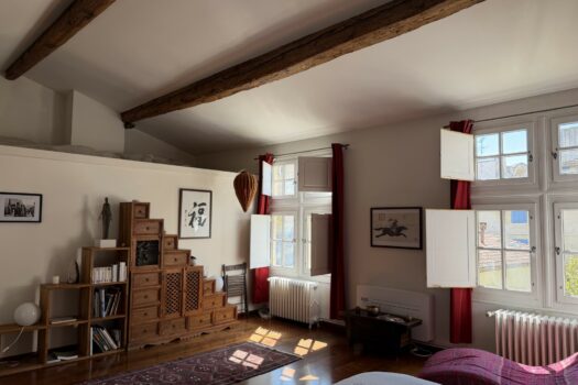 Maison de charme Arles